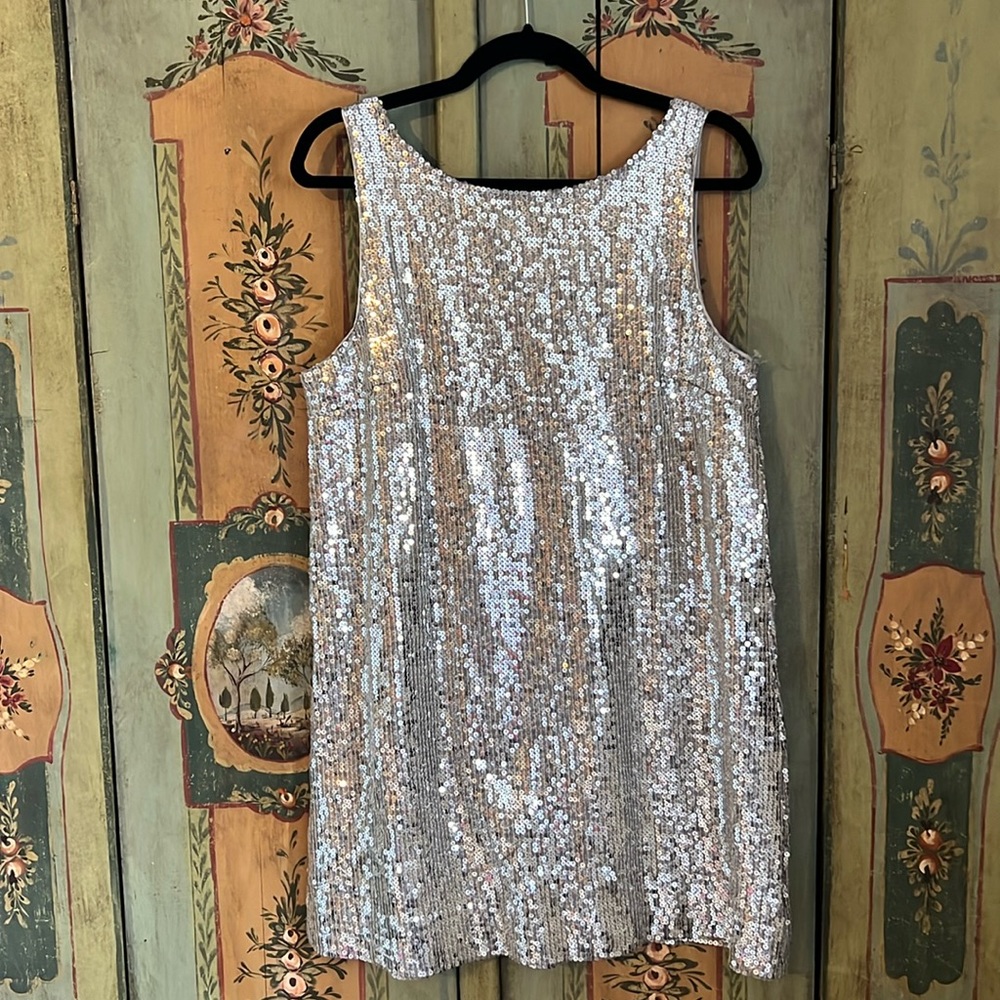 Free People Silver Sequin Dress size 12 lined